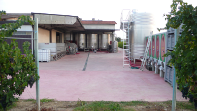 Back side of our site with view on the wineries